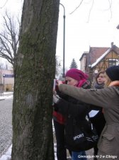 2012.01.19-24 - Wizyta - Turawa