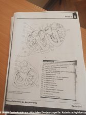 2023.10.04 - Praktyczna biologia w 3c